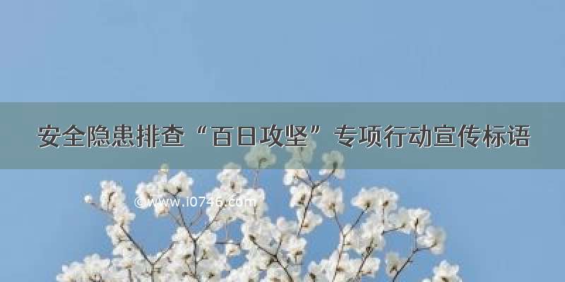 安全隐患排查“百日攻坚”专项行动宣传标语