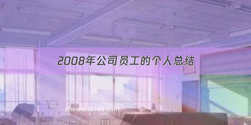 2008年公司员工的个人总结