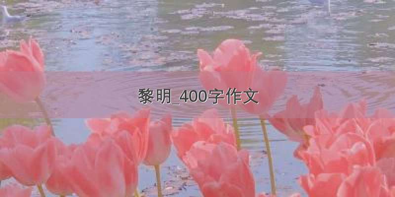 黎明_400字作文