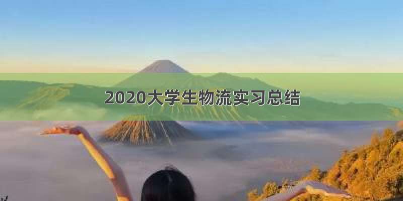 2020大学生物流实习总结