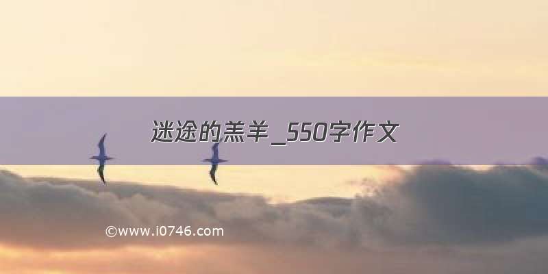 迷途的羔羊_550字作文