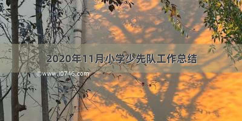 2020年11月小学少先队工作总结