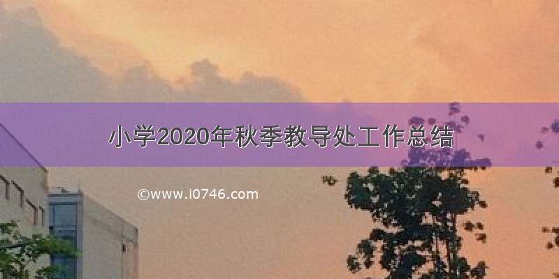 小学2020年秋季教导处工作总结