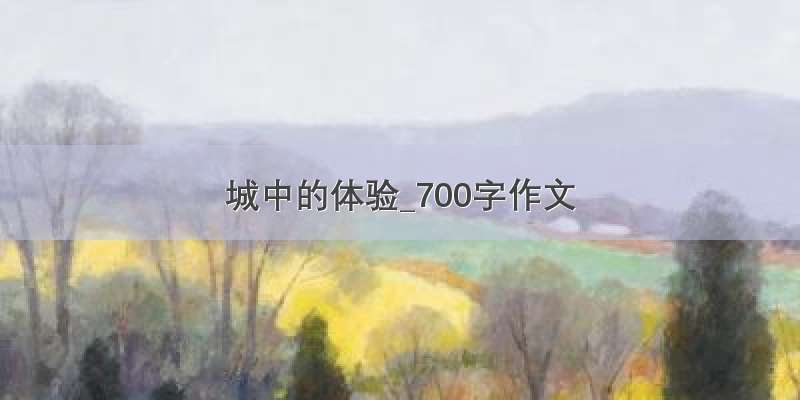 城中的体验_700字作文