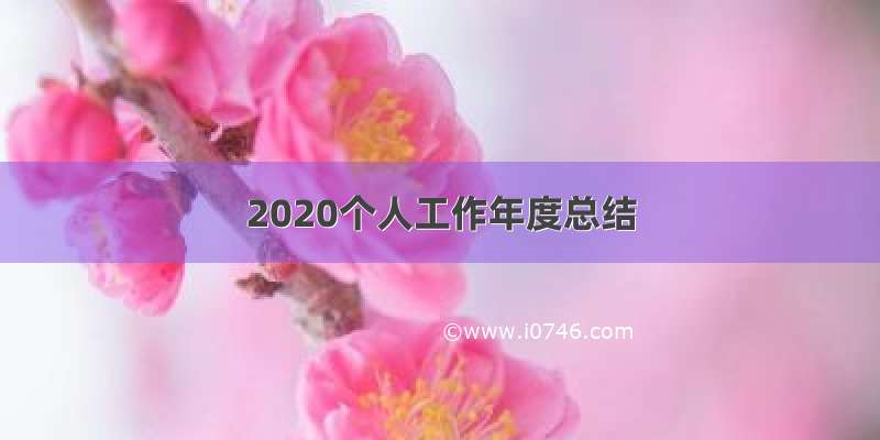 2020个人工作年度总结