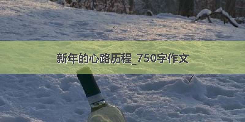 新年的心路历程_750字作文