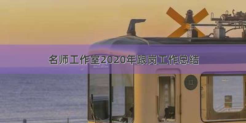 名师工作室2020年跟岗工作总结