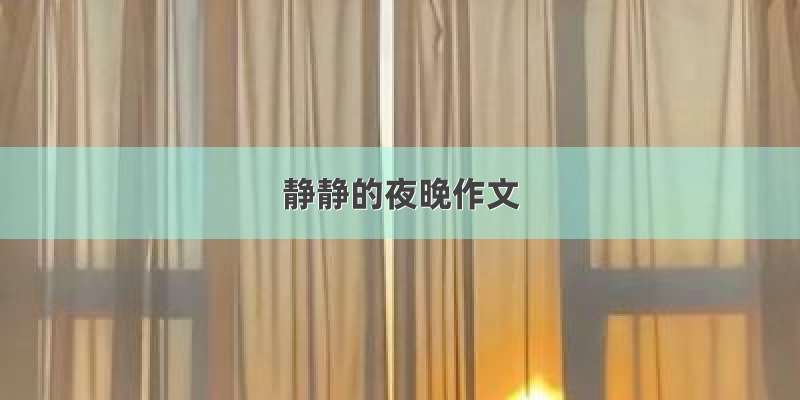 静静的夜晚作文