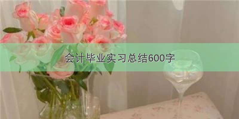 会计毕业实习总结600字