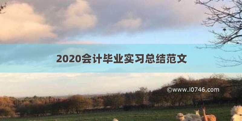 2020会计毕业实习总结范文