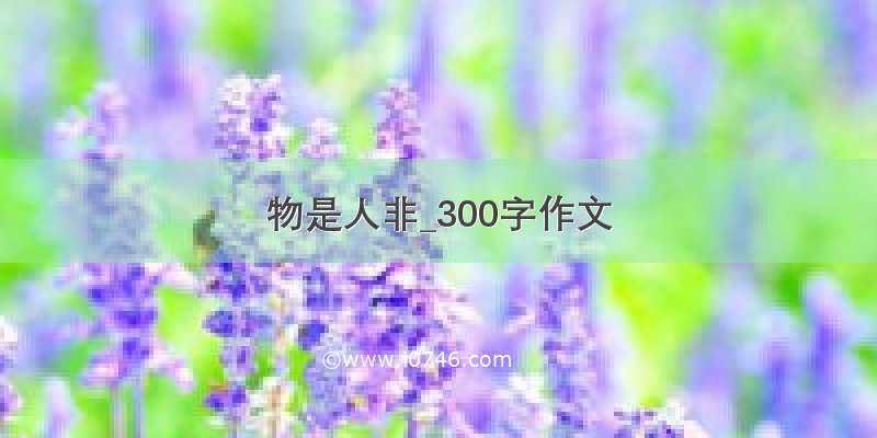 物是人非_300字作文