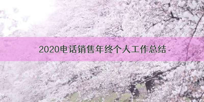 2020电话销售年终个人工作总结