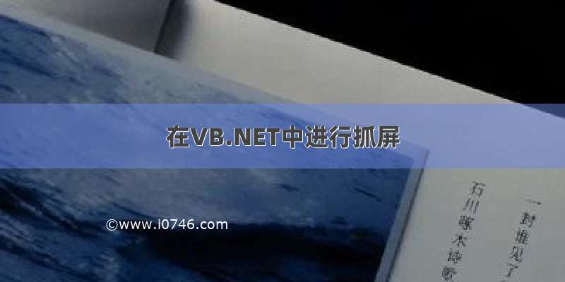 在VB.NET中进行抓屏