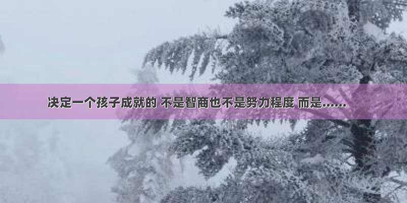 决定一个孩子成就的 不是智商也不是努力程度 而是......