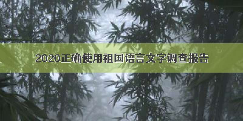 2020正确使用祖国语言文字调查报告