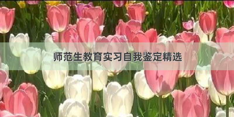 师范生教育实习自我鉴定精选