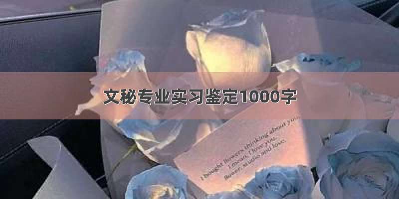 文秘专业实习鉴定1000字