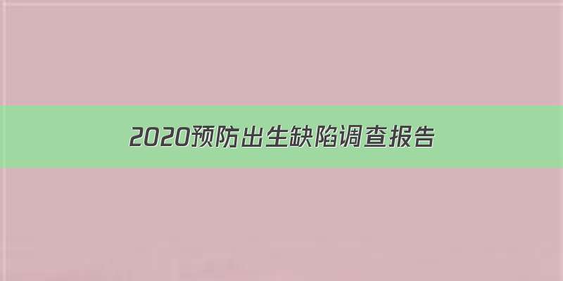 2020预防出生缺陷调查报告