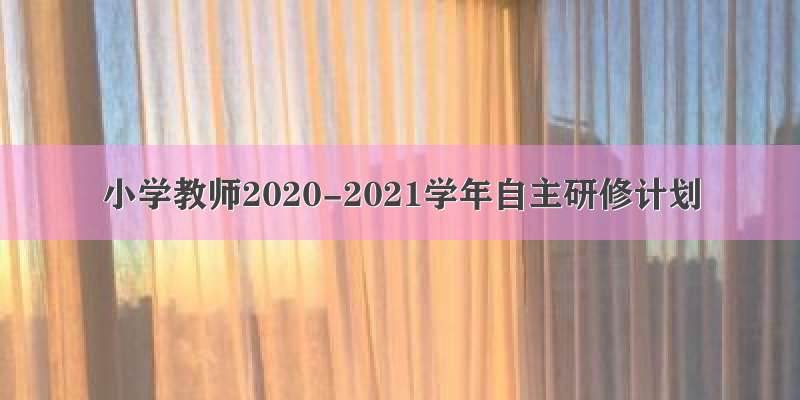 小学教师2020-2021学年自主研修计划