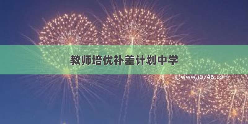 教师培优补差计划中学