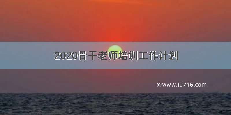 2020骨干老师培训工作计划