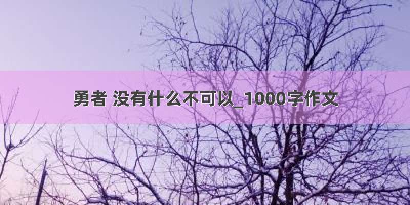 勇者 没有什么不可以_1000字作文