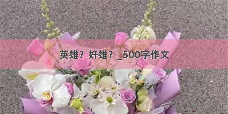 英雄？奸雄？_500字作文