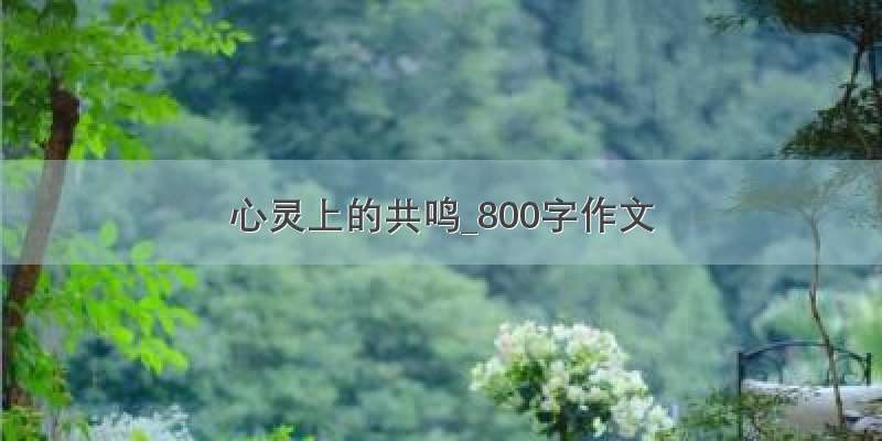 心灵上的共鸣_800字作文