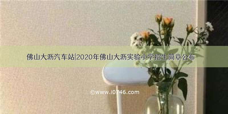 佛山大沥汽车站|2020年佛山大沥实验小学招生简章公布