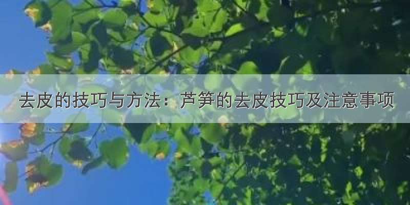 去皮的技巧与方法：芦笋的去皮技巧及注意事项