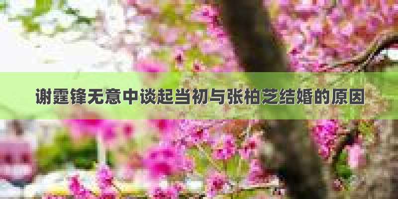 谢霆锋无意中谈起当初与张柏芝结婚的原因