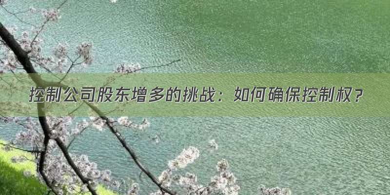 控制公司股东增多的挑战：如何确保控制权？