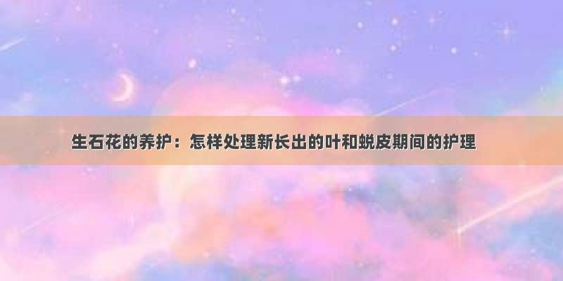 生石花的养护：怎样处理新长出的叶和蜕皮期间的护理