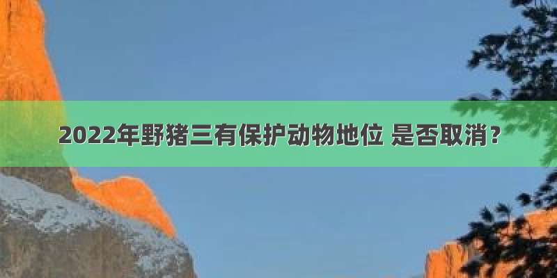 2022年野猪三有保护动物地位 是否取消？