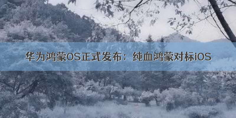 华为鸿蒙OS正式发布：纯血鸿蒙对标iOS