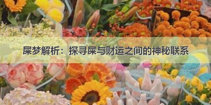 屎梦解析：探寻屎与财运之间的神秘联系