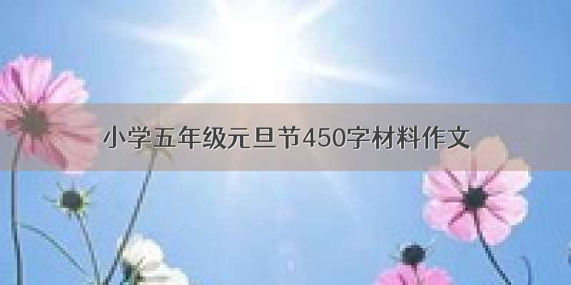 小学五年级元旦节450字材料作文