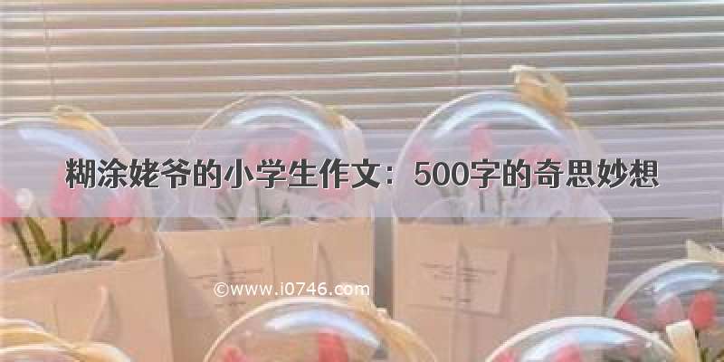 糊涂姥爷的小学生作文：500字的奇思妙想