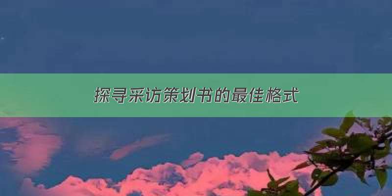 探寻采访策划书的最佳格式