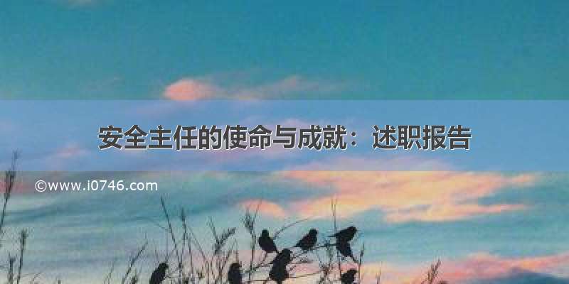 安全主任的使命与成就：述职报告