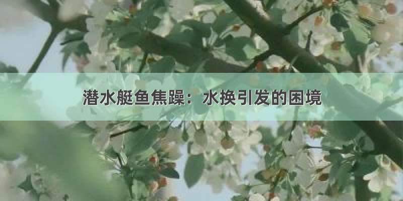 潜水艇鱼焦躁：水换引发的困境