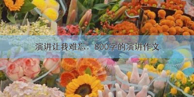 演讲让我难忘：800字的演讲作文