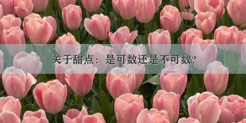 关于甜点：是可数还是不可数？