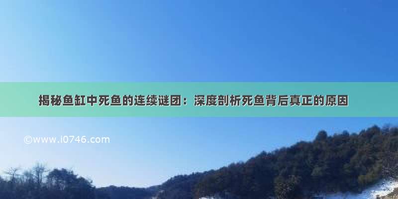 揭秘鱼缸中死鱼的连续谜团：深度剖析死鱼背后真正的原因