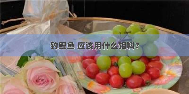 钓鲤鱼 应该用什么饵料？