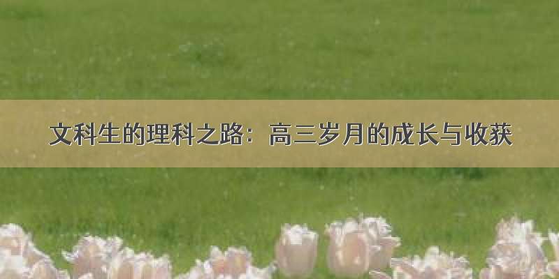 文科生的理科之路：高三岁月的成长与收获