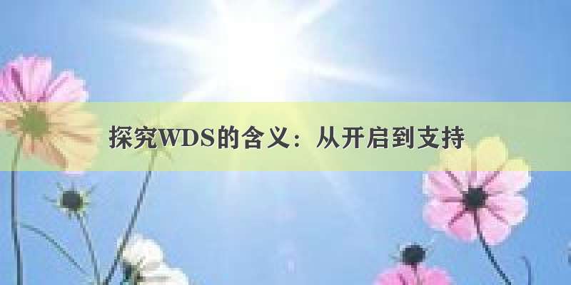 探究WDS的含义：从开启到支持