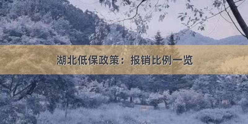 湖北低保政策：报销比例一览