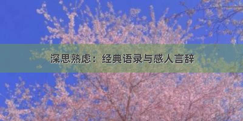 深思熟虑：经典语录与感人言辞