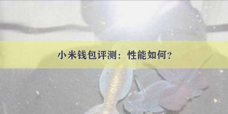 小米钱包评测：性能如何？